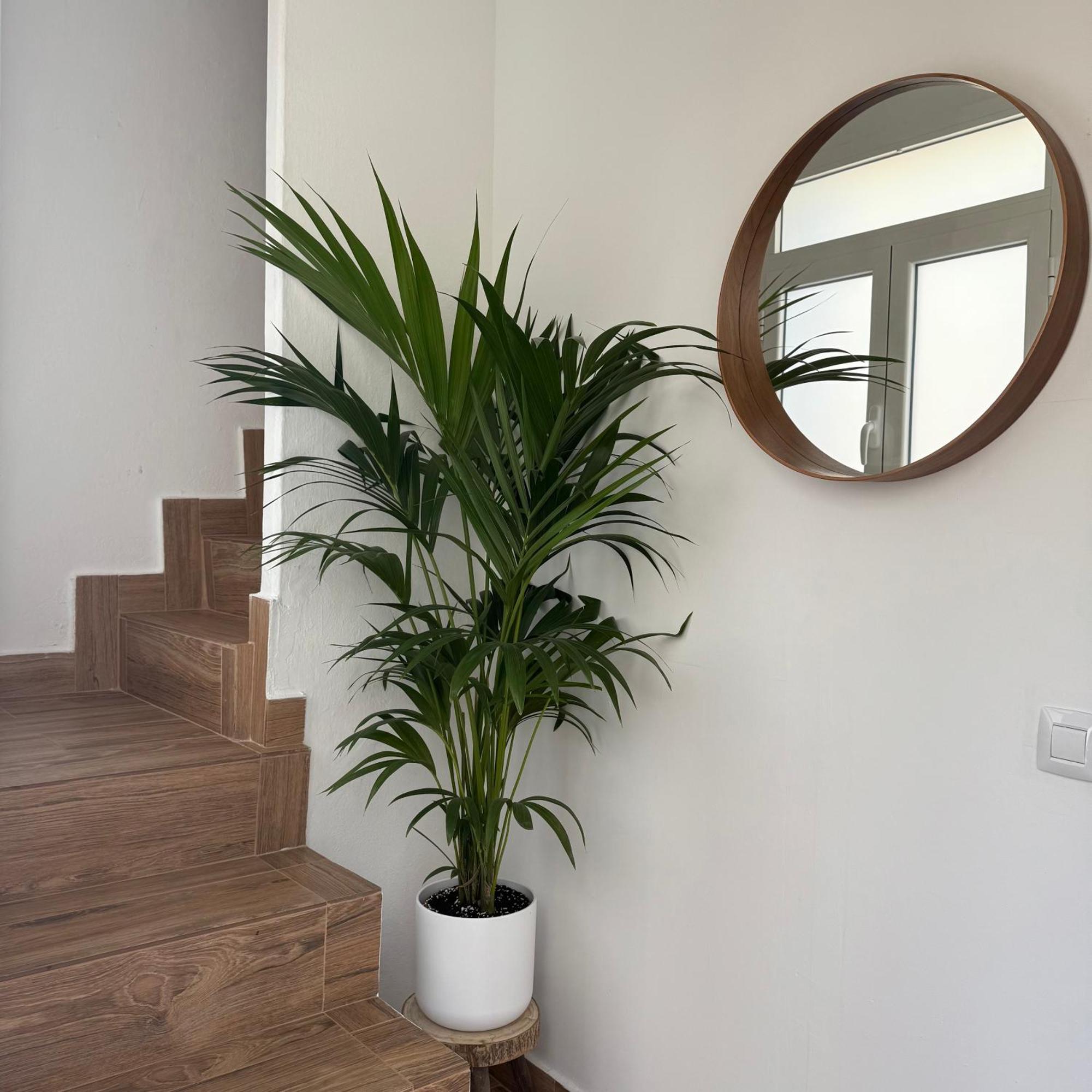 Casa Yeye City Loft Agaete  Exterior foto